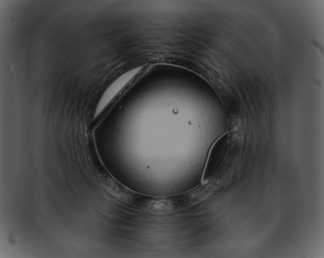 X0000093230275200710171425