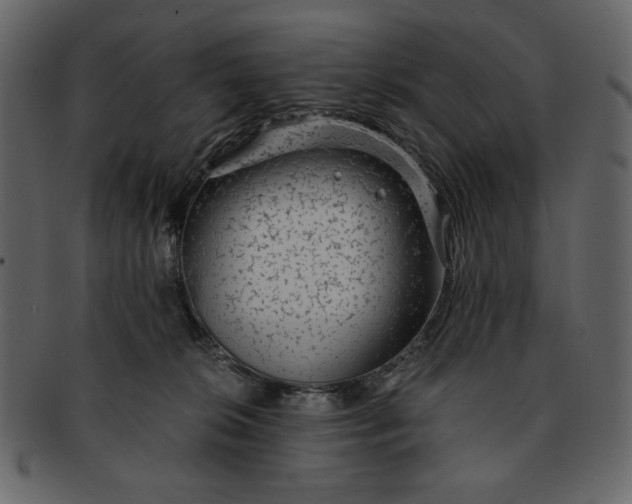 X0000093230276200710171425