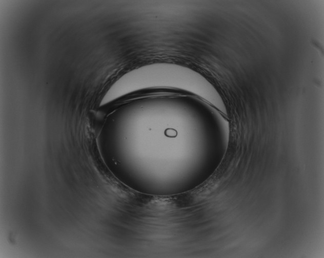 X0000093230280200710171425