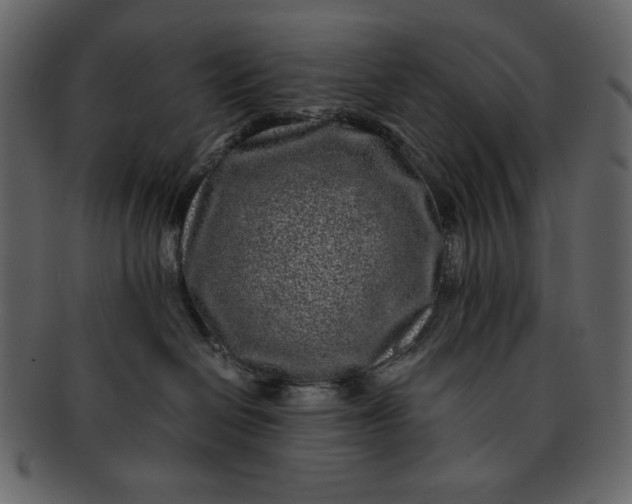 X0000093230286200710171425