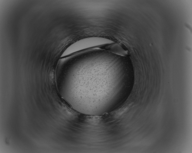 X0000093230288200710171425