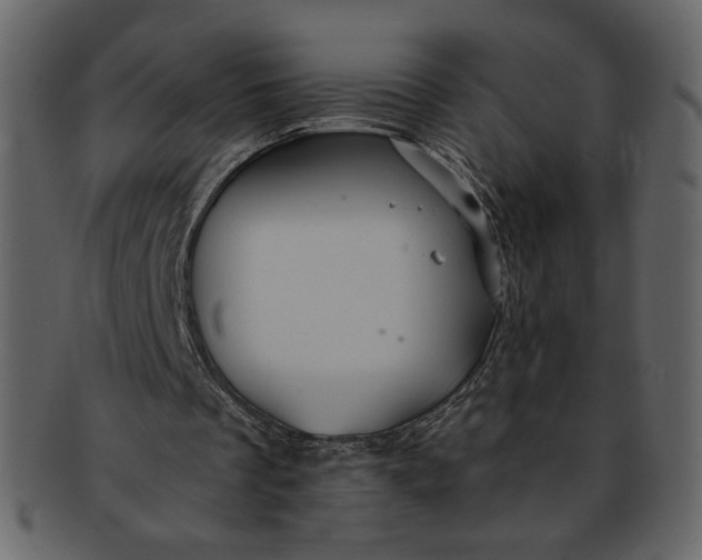 X0000093230289200710171425