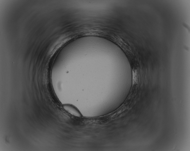 X0000093230291200710171425