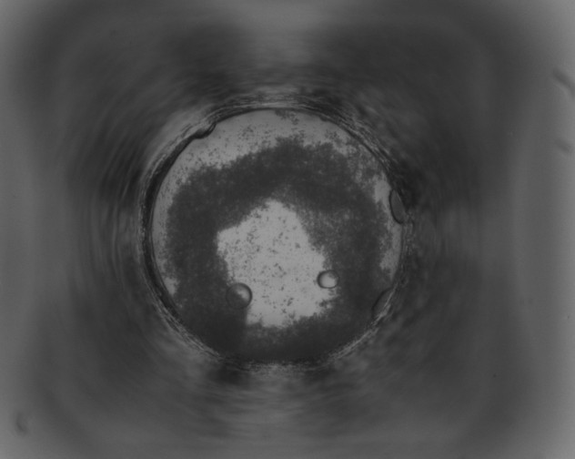 X0000093230293200710171425