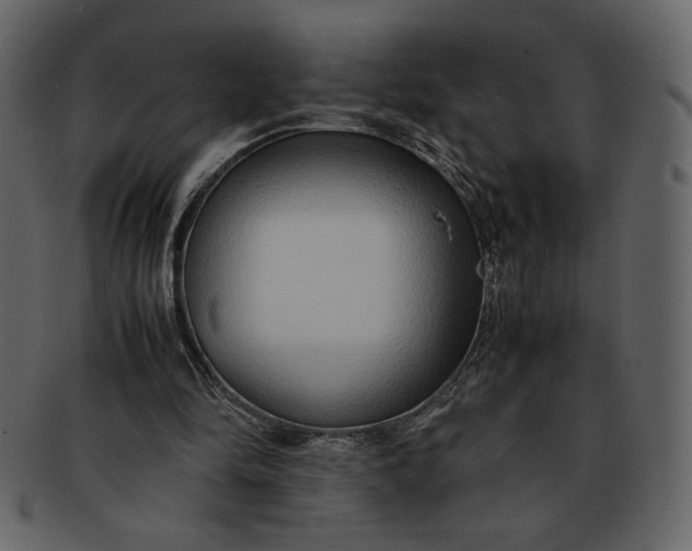 X0000093230294200710171425