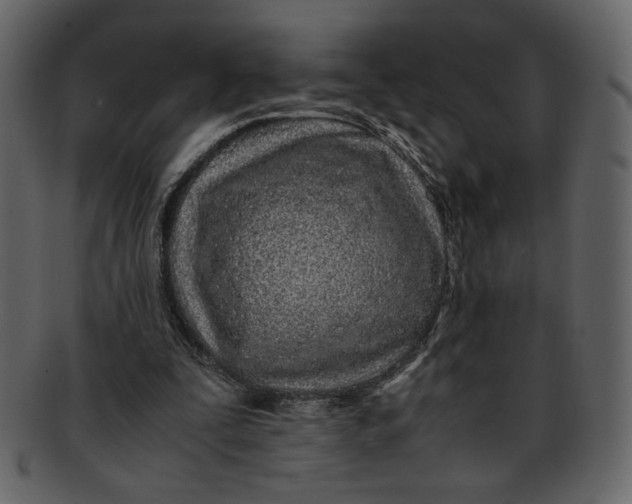 X0000093230295200710171424