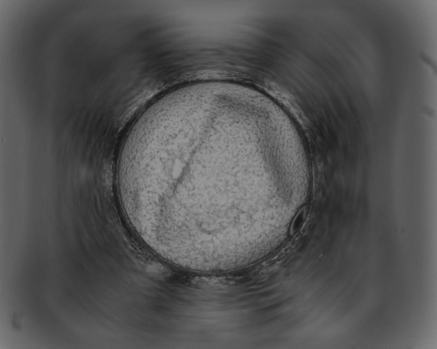 X0000093230297200710171424