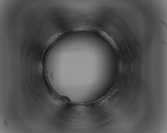 X0000093230298200710171424