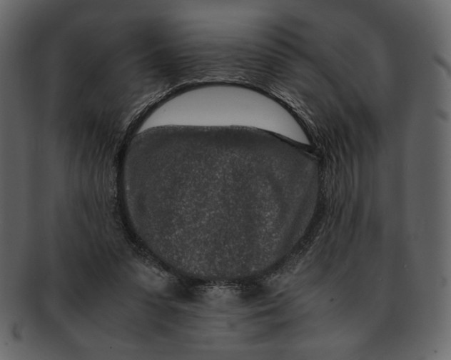 X0000093230303200710171424