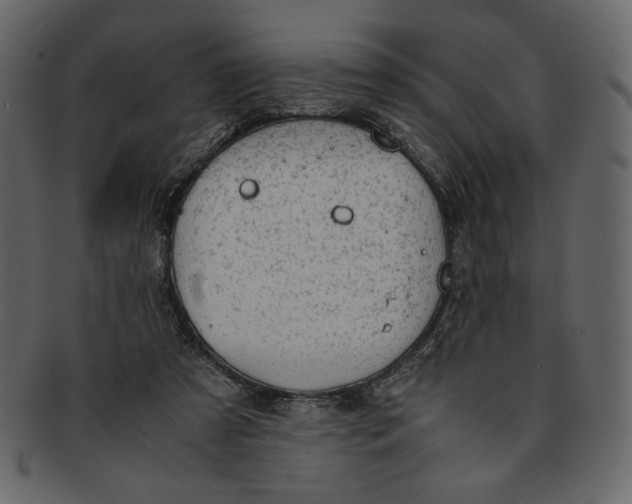 X0000093230305200710171424