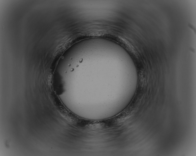 X0000093230307200710171424