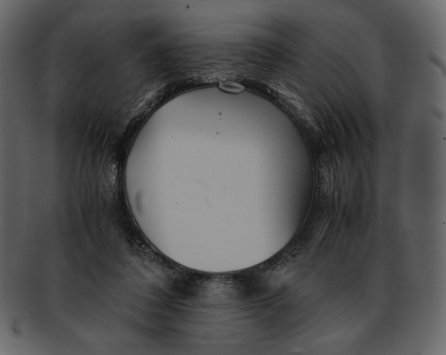 X0000093230308200710171424