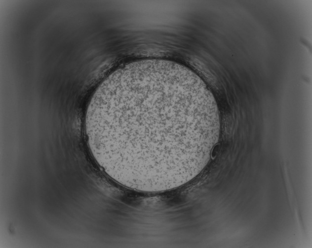 X0000093230309200710171424