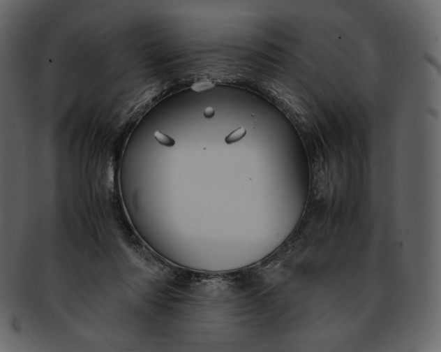 X0000093230310200710171424