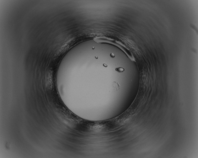 X0000093230312200710171424