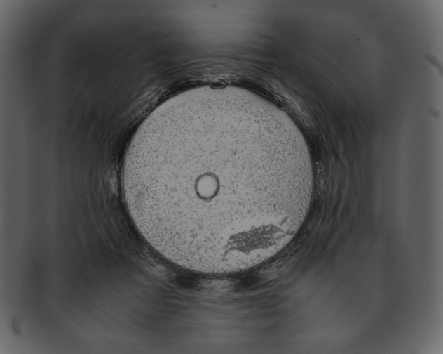 X0000093230313200710171424