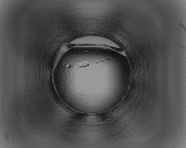 X0000093230315200710171424