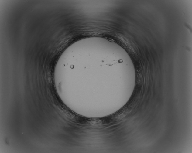 X0000093230317200710171424