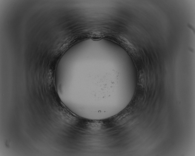 X0000093230318200710171424