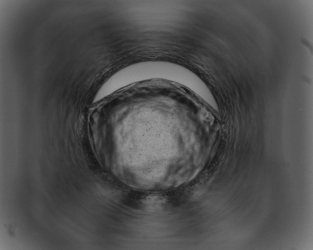 X0000093230319200710171424