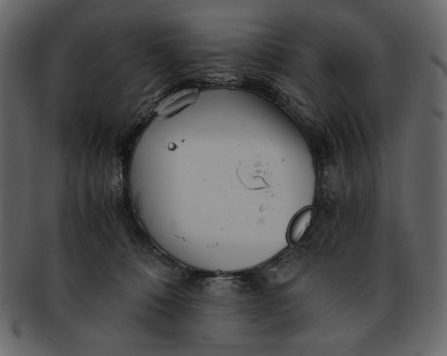 X0000093230320200710171424