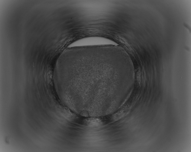 X0000093230322200710171424