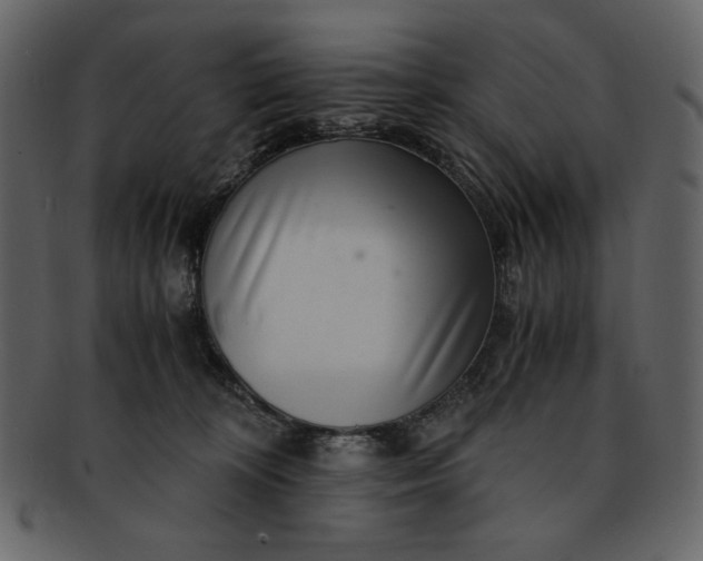 X0000093230324200710171424