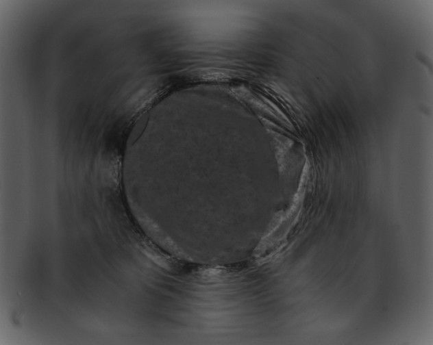 X0000093230325200710171424