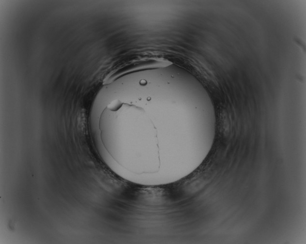 X0000093230328200710171424