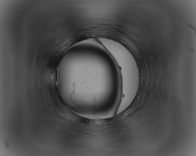 X0000093230329200710171424