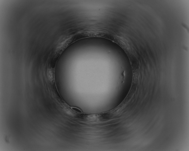 X0000093230335200710171424