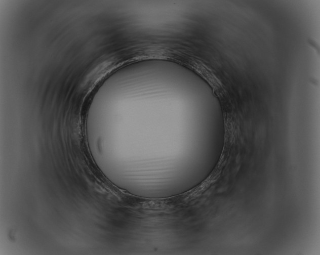 X0000093230338200710171423