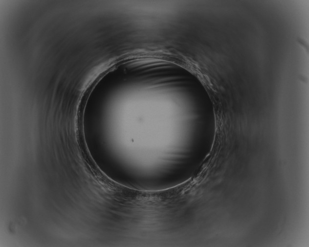 X0000093230340200710171423