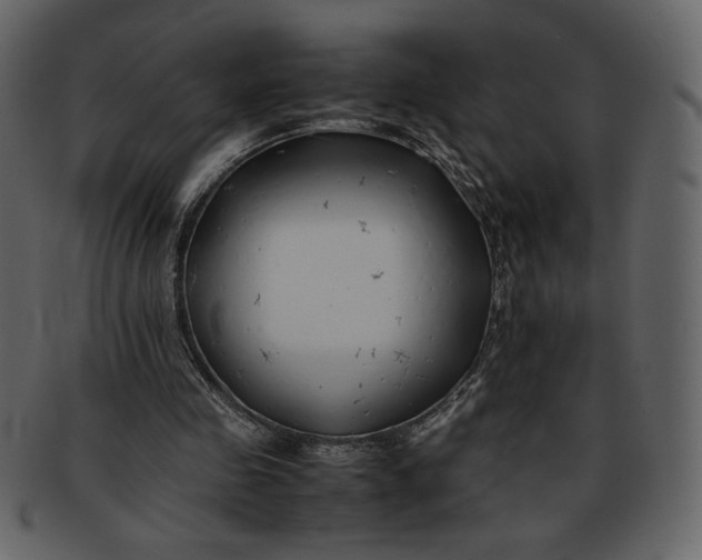 X0000093230341200710171423