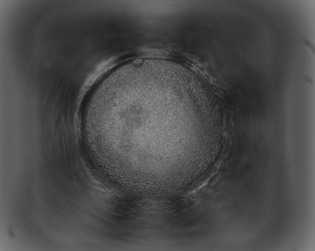 X0000093230343200710171423