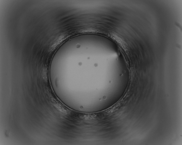 X0000093230345200710171423