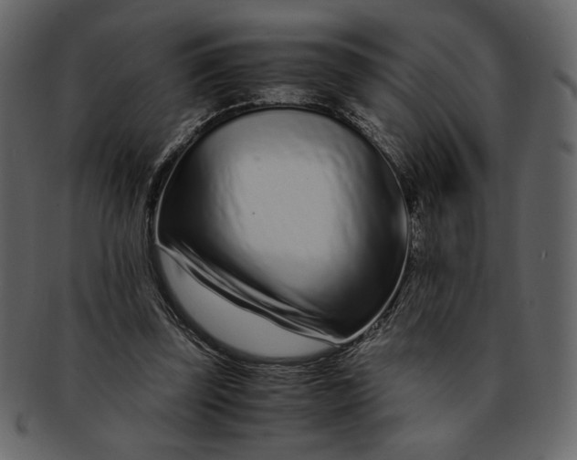 X0000093230347200710171423