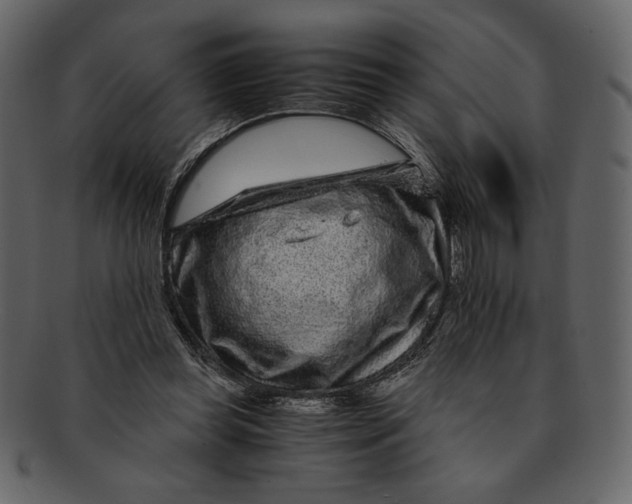 X0000093230349200710171423