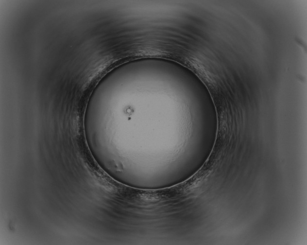 X0000093230351200710171423