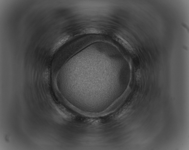 X0000093230352200710171423