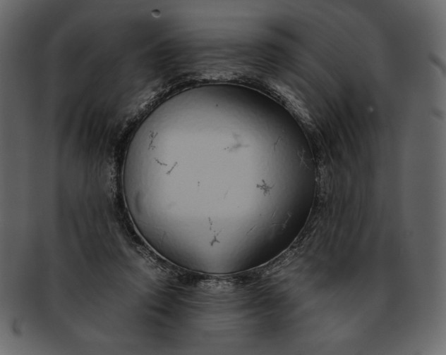 X0000093230354200710171423