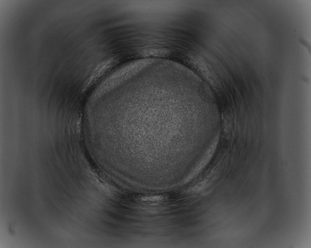 X0000093230357200710171423