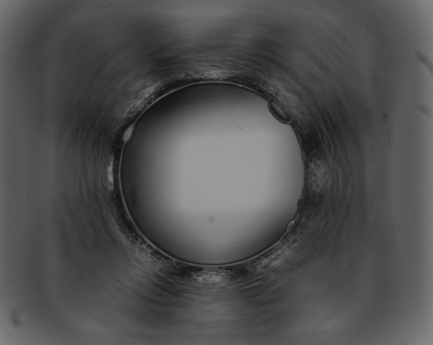 X0000093230358200710171423