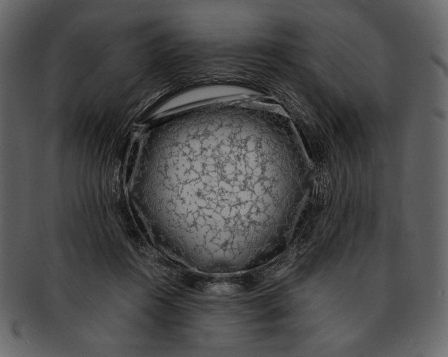 X0000093230360200710171423