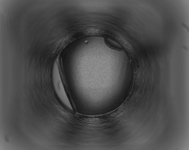 X0000093230361200710171423