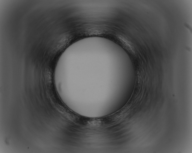 X0000093230362200710171423