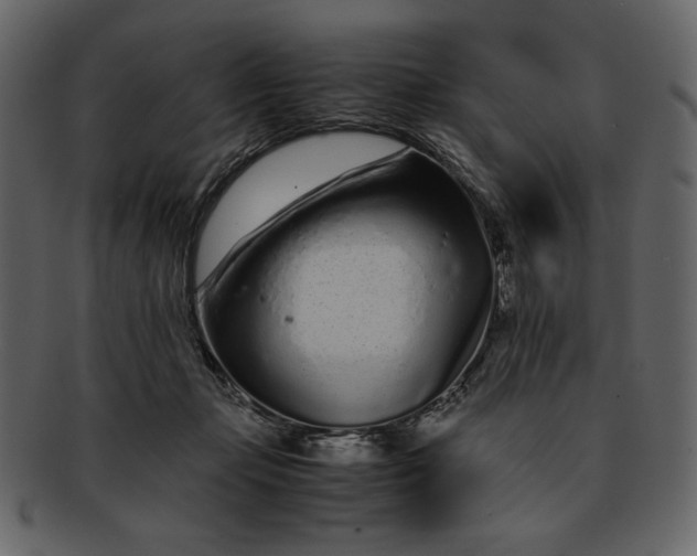 X0000093230365200710171423