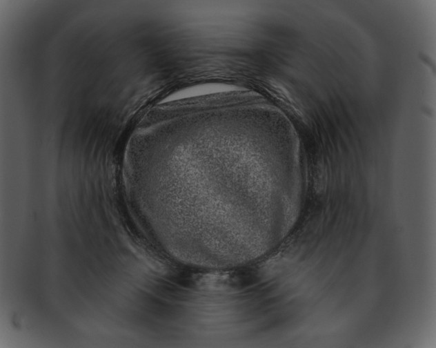 X0000093230366200710171424