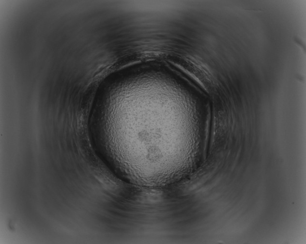 X0000093230369200710171424