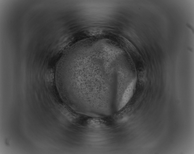 X0000093230372200710171424